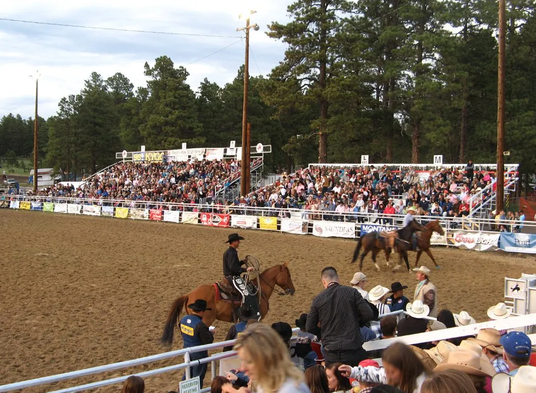 Spectators in the grandstand at the Elizabeth Stampede rodeo, Casey Jones Park