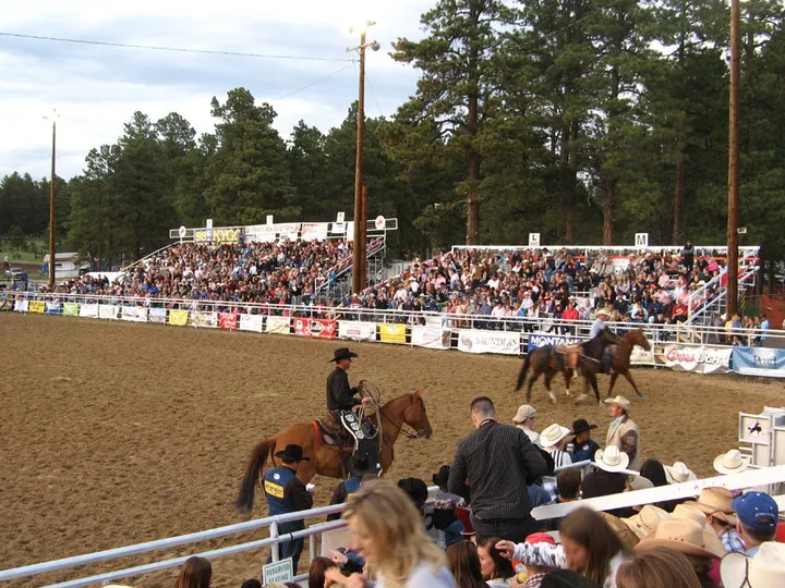 Spectators in the grandstand at the Elizabeth Stampede rodeo, Casey Jones Park